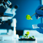 SEO services for Biotechnology